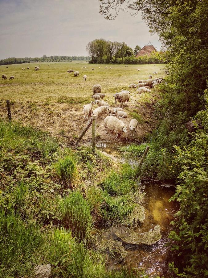 Frühstückspension Nova Hippolytushoef